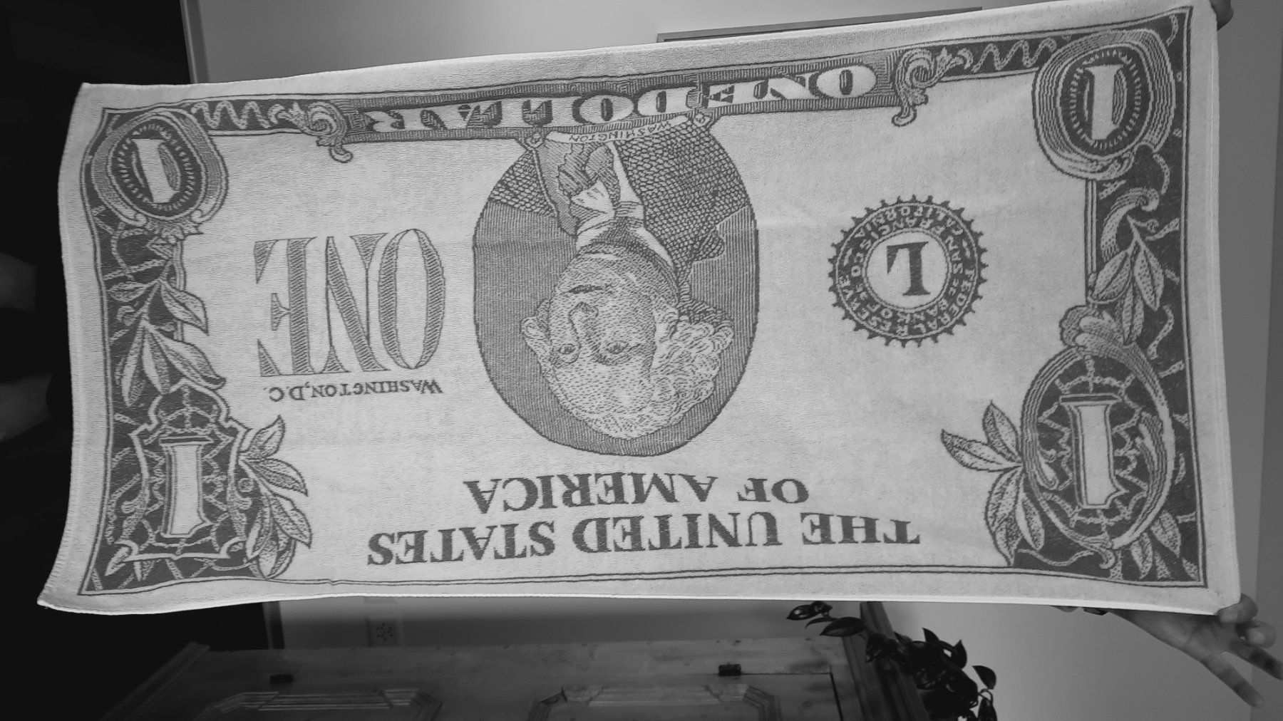 Teli da bagno: Frotteetuch/ Badetuch; als Dollar Note; doppelseitig; 60*120 – Usato da Herrliberg venduto da AlexandraBopp