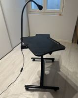Mobile desk with stand and light - standing or seated