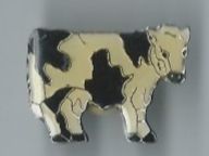 Kuh Pin
