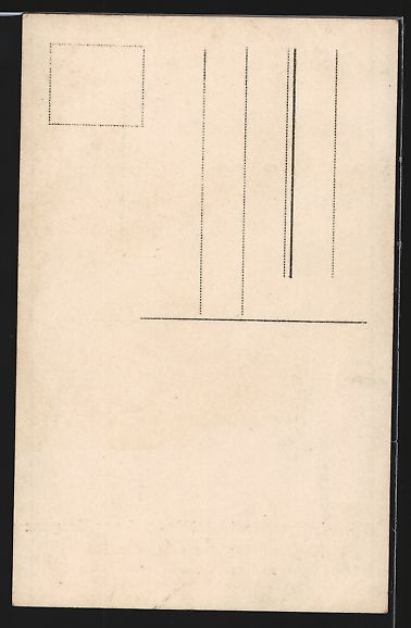 Cartoline postali: Stein a. Rh., Schwalbengesellschaft Hote – Usato da Berlin venduto da bartko-reher 1