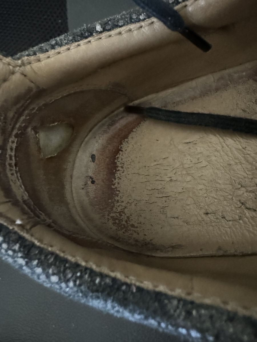 Zanotti Scarpe da uomo: Giuseppe Zanotti Sneaker – Usato da Rüfenacht BE venduto da val_2fyv 4