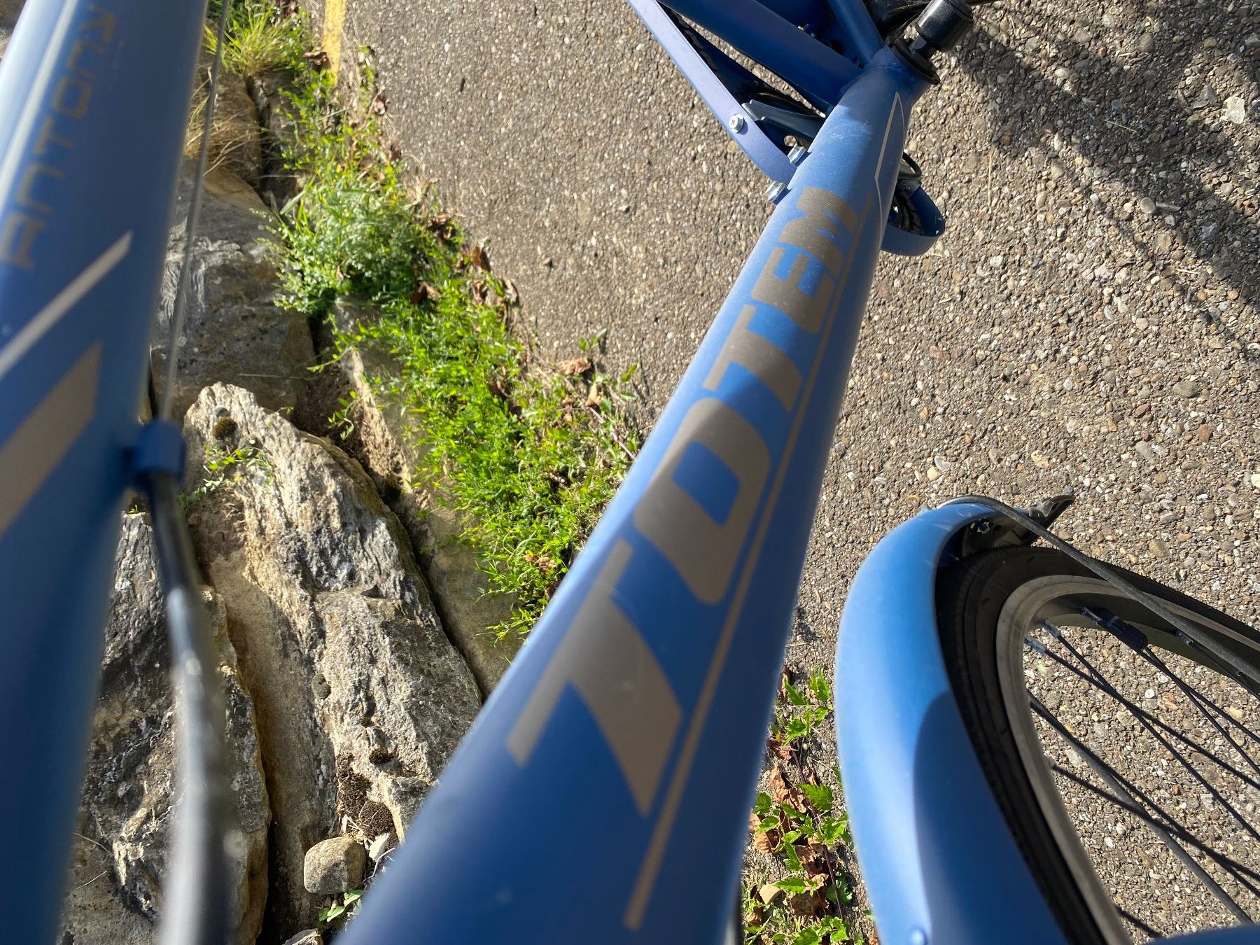 Biciclette: Velo Fahrrad NEU – Nuovo (secondo la descrizione) da Dachsen venduto da ColdChisel 1