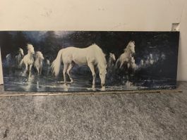 Pferde Gemälde, Wandbild, Kunstdruck - Gross 160x54 cm