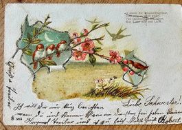 Postkarte- Rückseite ! 1901
