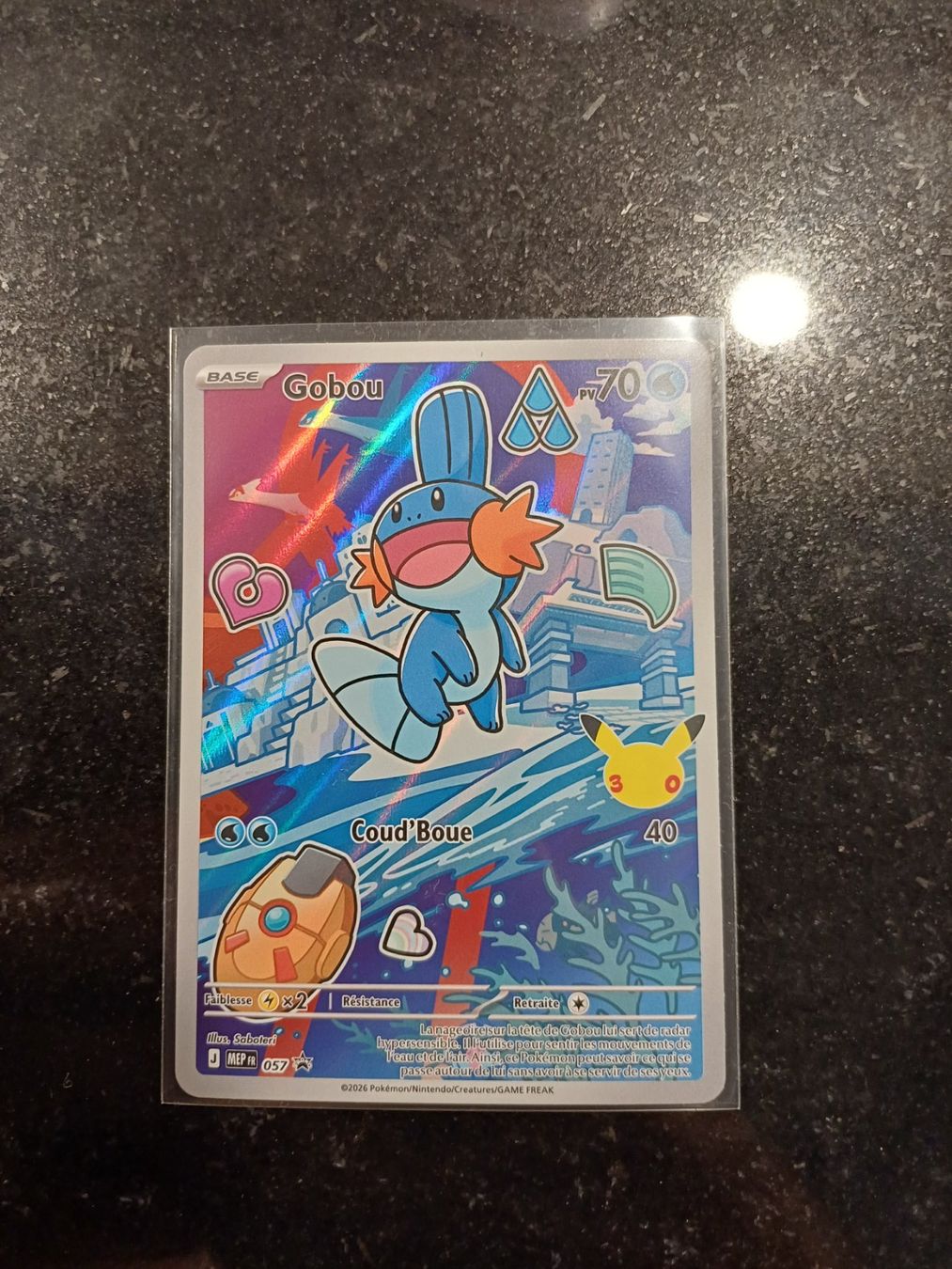 Pokémon Carte collezionabili: Gobou - Alternative - 057 - FR – Usato da Bernex venduto da Adrieneagle
