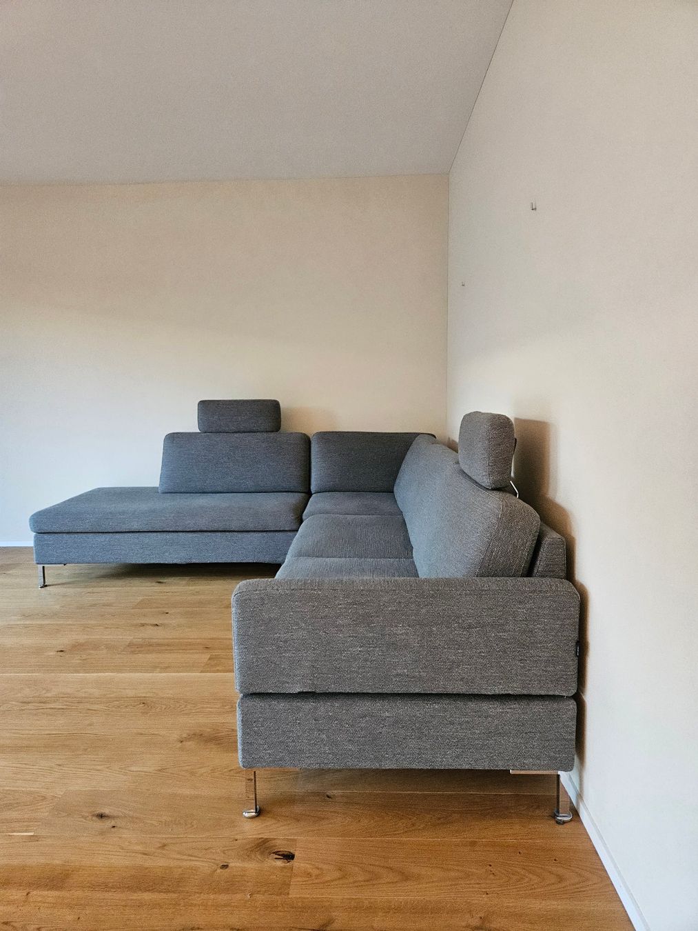 Brühl Sofas: Modernes Ecksofa «ALBA» von Brühl – Gebraucht aus Jona von  4