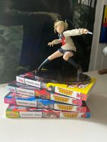 My Hero Academia Manga und Toga Figur