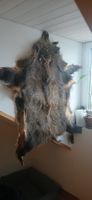 Wildschweinfell