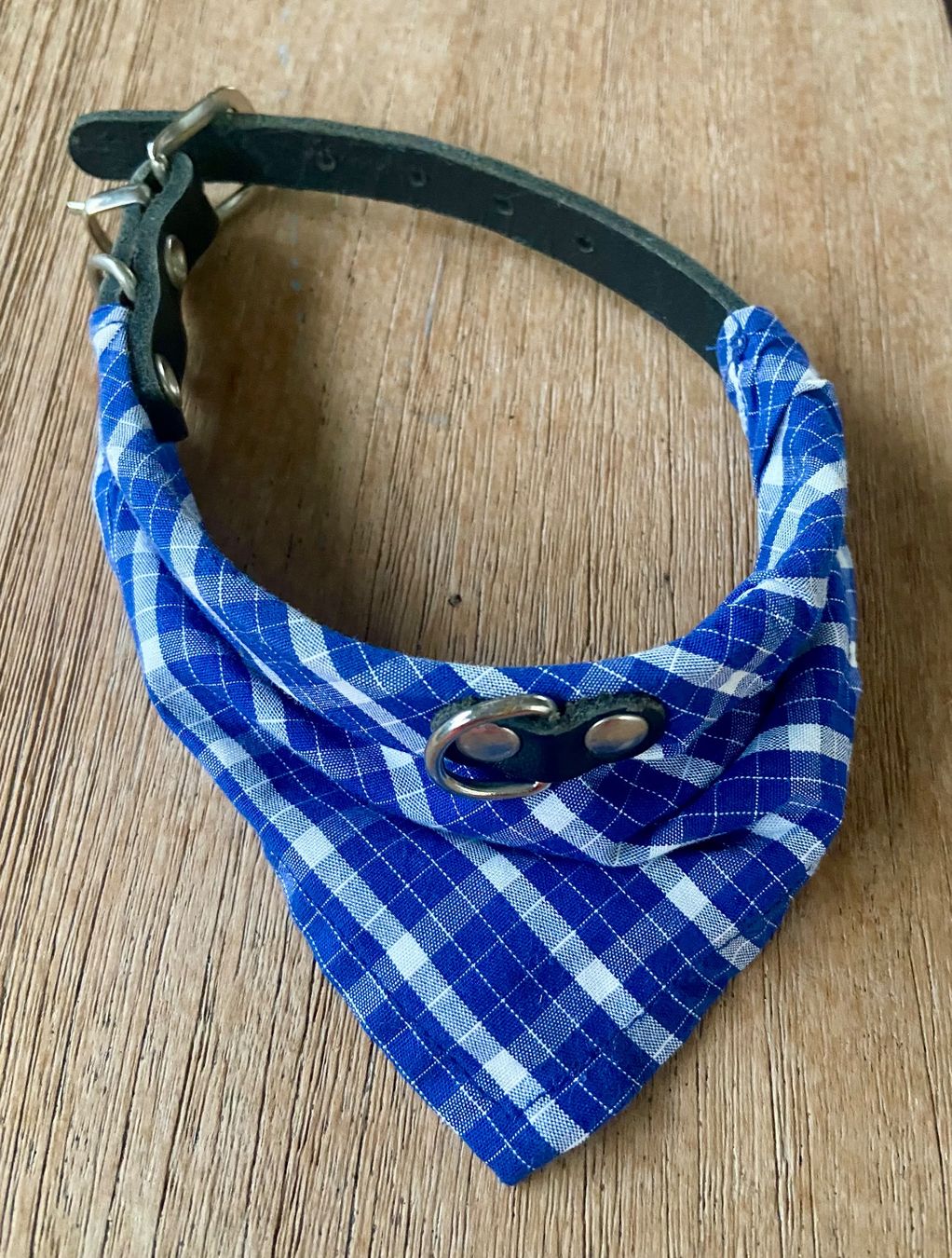 Guinzagli & Collari: Hunde Halsband – Usato da Widnau venduto da ama_7xzk
