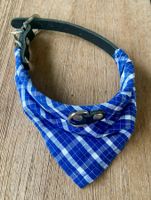Hunde Halsband