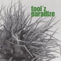 Nico Fertig FOOL'Z PARADIZE Spirituell Downtempo Swiss CD