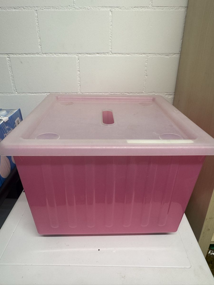 Ikea Contenitori & Simili: IKEA Aufbewahrungsbox mit Rollen – Usato da Bülach venduto da sha_5brm