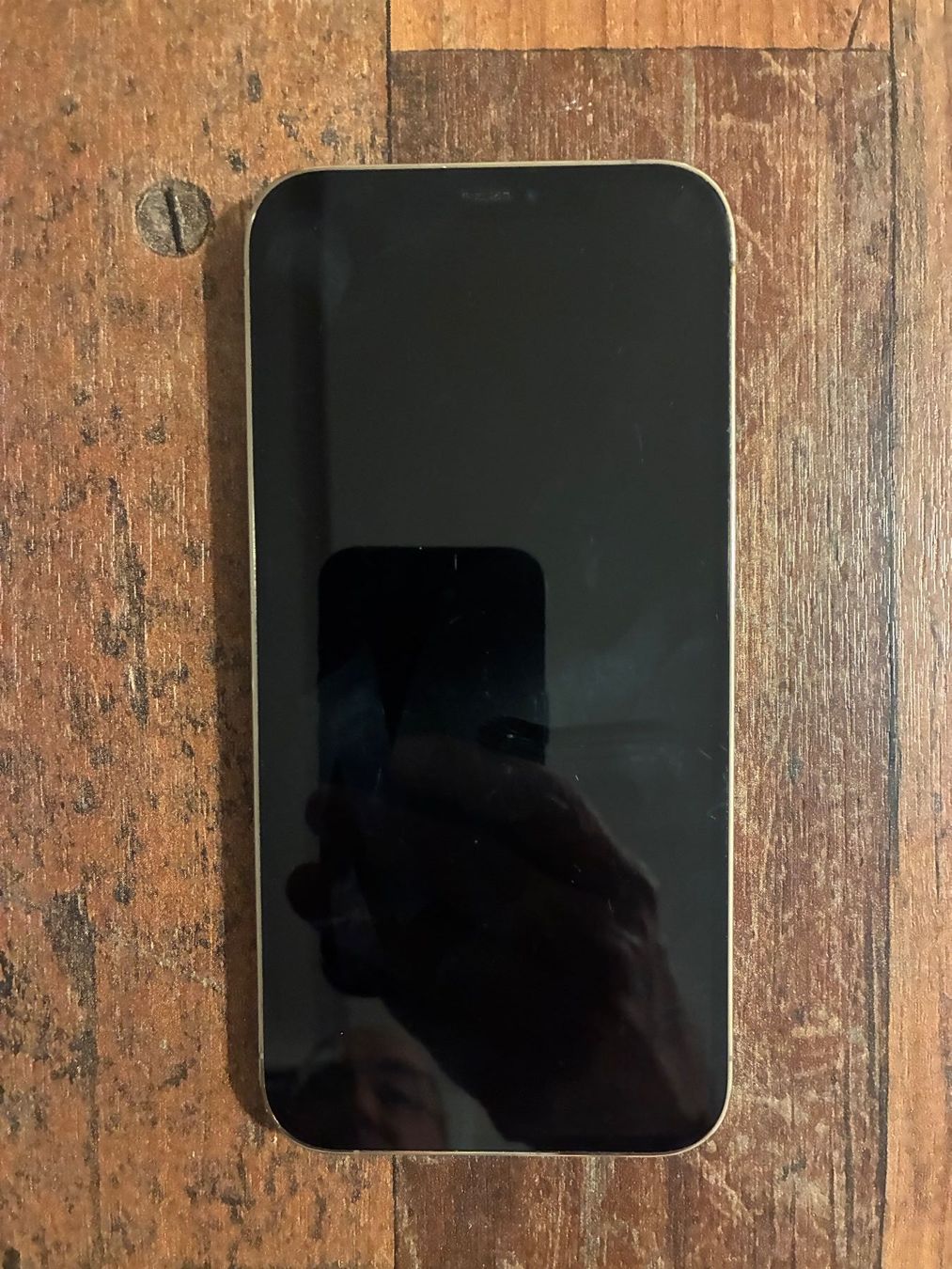 Apple Telefoni cellulari / Smartphones: Iphone 12 Pro Max 256 GB, Gold – Usato da Winterthur venduto da SSilverS 4