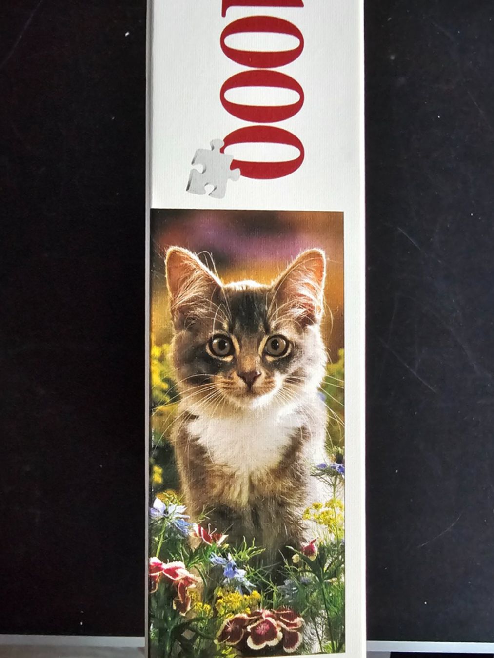 Puzzle: Puzzle Schmidt 1000 Teile - Kätzchen – Usato da Altstätten SG venduto da Carrybones 2