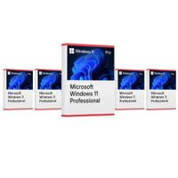 Windows 11 Pro (5 Keys)