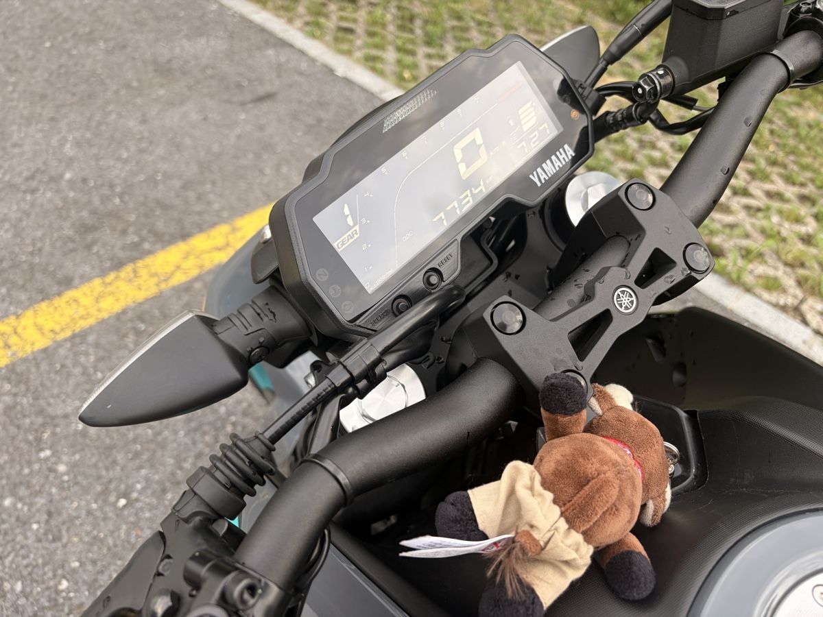 Yamaha Strada: MT-125 A Tiefergelegt – Usato da Mollis venduto da has_ddc8 3