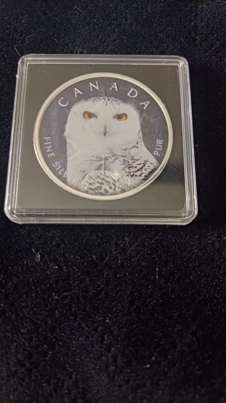 Alle Münzen: Silbermünze Eule Auflage 500Stück Silber – Neu und originalverpackt aus Bex von renebaar 3