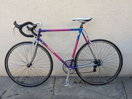Titan Rennvelo Gr. 56