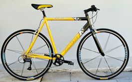 Villiger Davida RS / 173-182 cm / Neuaufbau Cityflitzer 2026