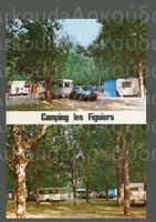 AK color Argelès F Plage, Camping "Figuiers",Déesses ≈1970