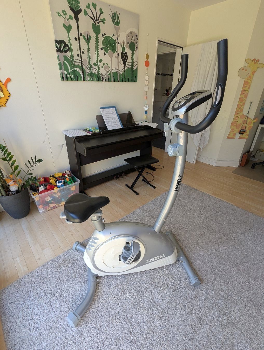 Bodyshape Hometrainer: BodyShape Heimtrainer, wenig gebraucht – Gebraucht aus Baden von vongillus 1