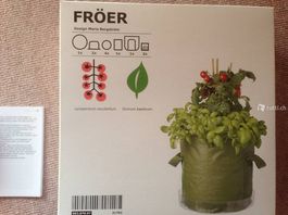 Pflanzset Tomaten und Basilikum, neu und originalverpack