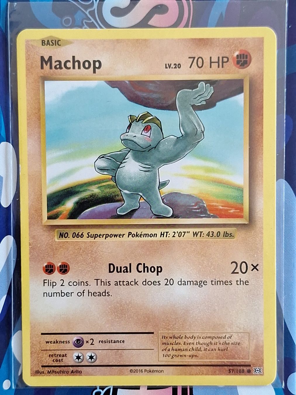 Pokémon Carte collezionabili: Machop Machollo - XY Evolutions Pokemon - #7.7 – Usato da Altstätten SG venduto da GGsGameshop