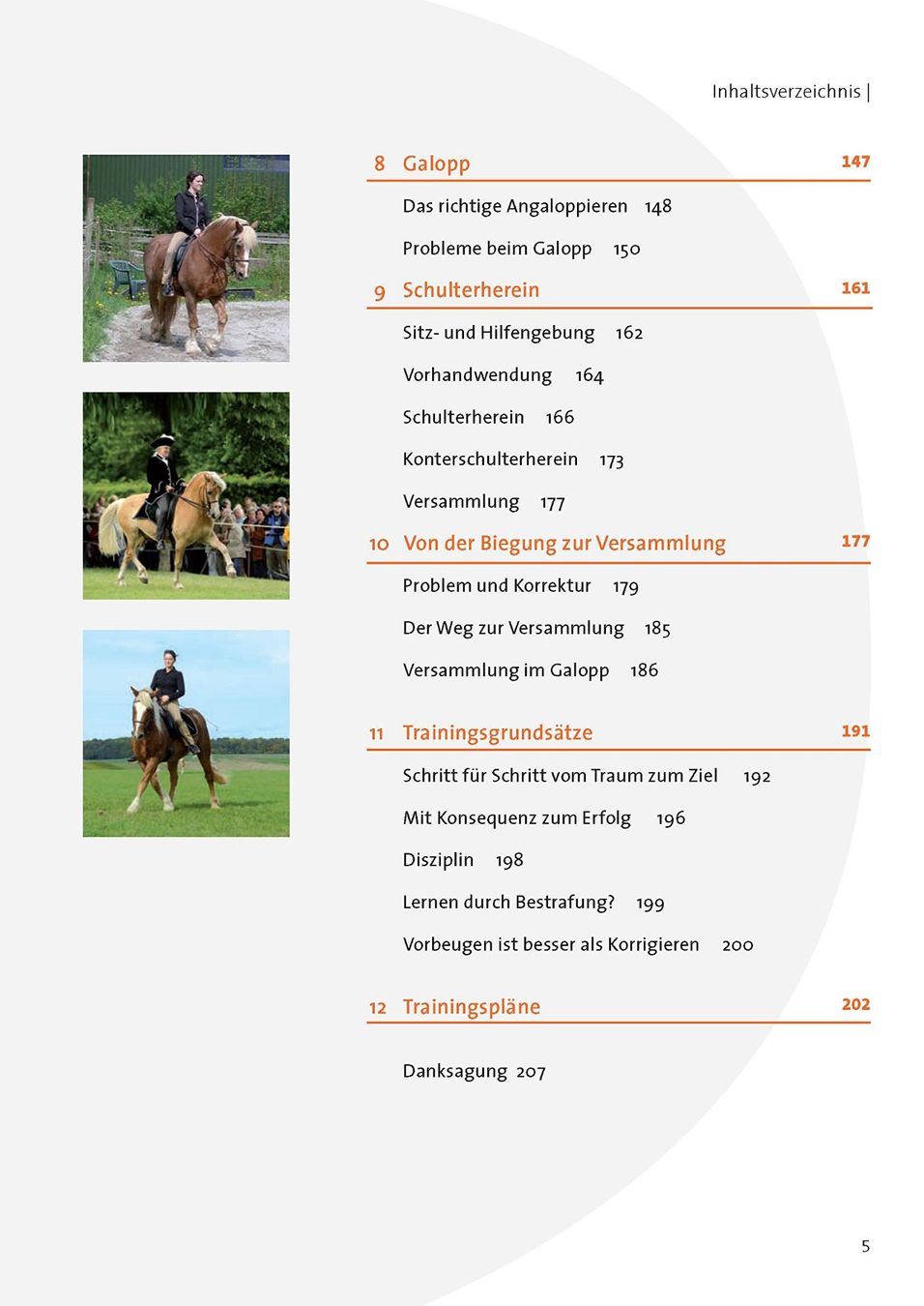Libri: Dressurkurs mit Barbara Heilmeyer – Nuovo e nell'imballaggio originale da Sarnen venduto da Livres 3