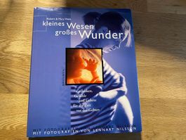 Schwangerschaft Kleines Wesen grosses Wunder