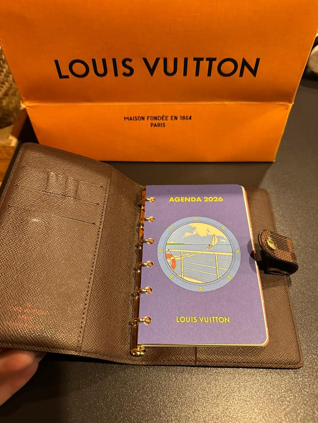 Louis Vuitton Borse da donna: Louis Vuitton Agenda – Usato da Pura venduto da and_8dzs 1