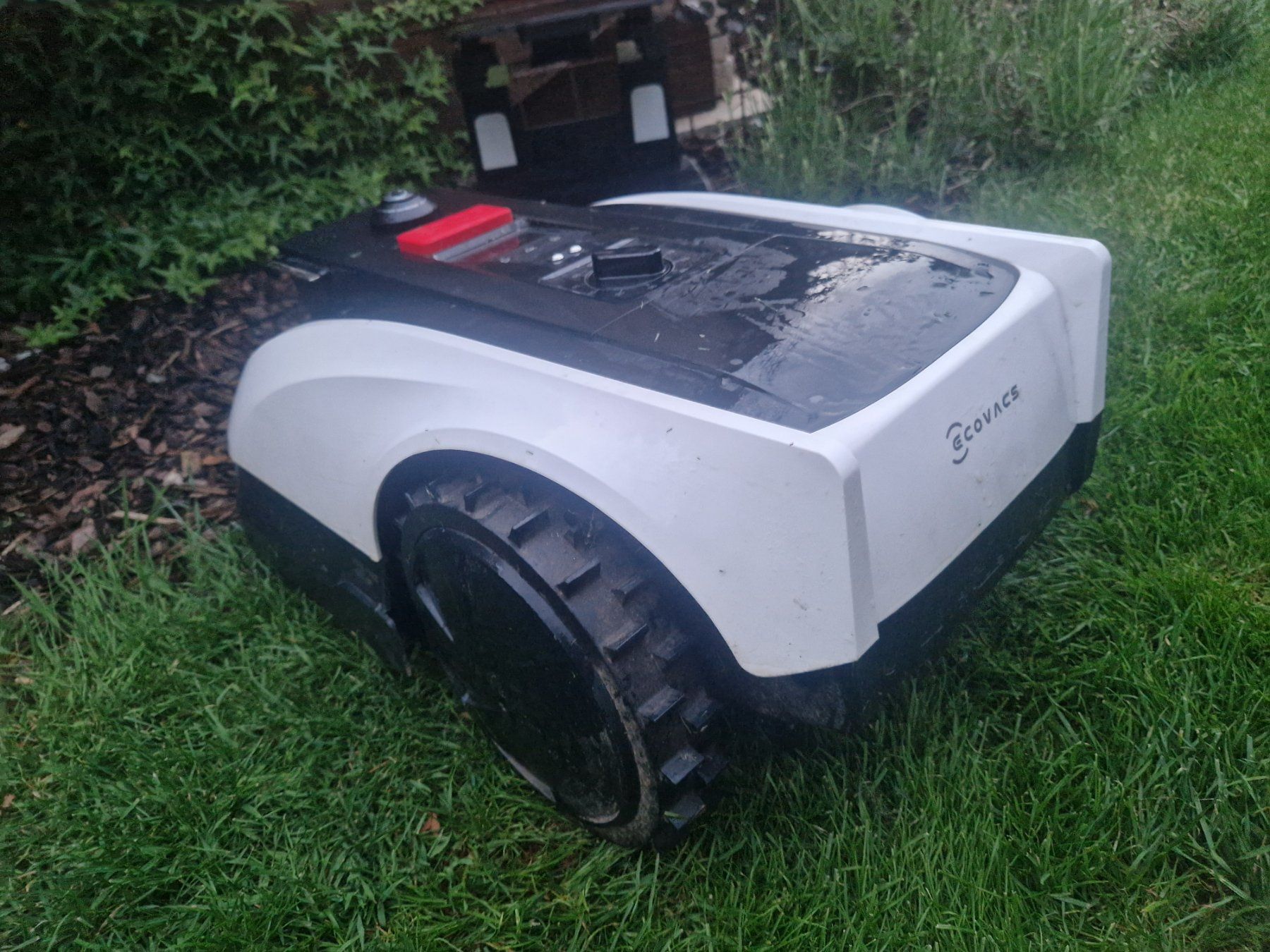 Ecovacs Tagliaerba: Ecovacs goat O500 panorama mit 1 Jahr Garantie – Usato da Grabs venduto da holjir 4