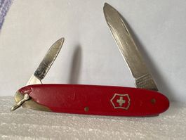 VICTORINOX - VICTORIA - Excelsior - Sackmesser