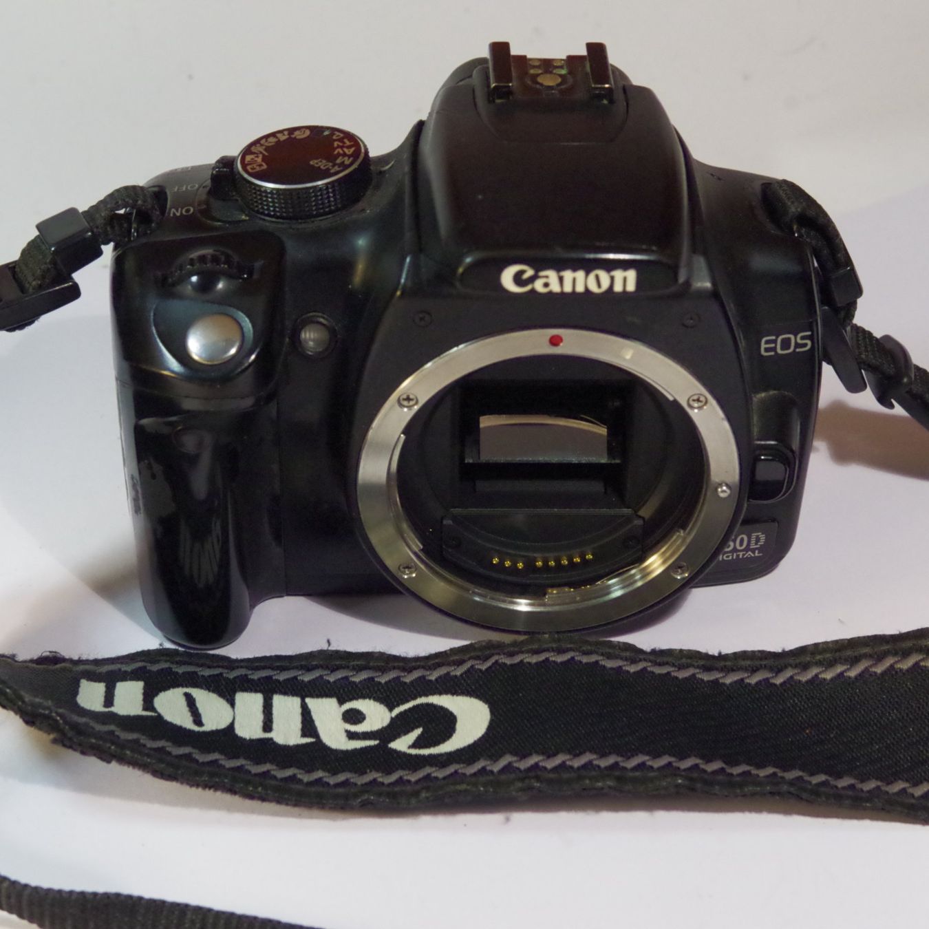 Canon Kamera: Canon EOS 350D – Gebraucht aus Erlinsbach von foto_5018 3
