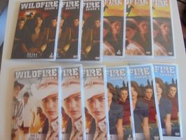" Wildfire, l'intégrale de la série saison 1 à 4 " 16 DVD