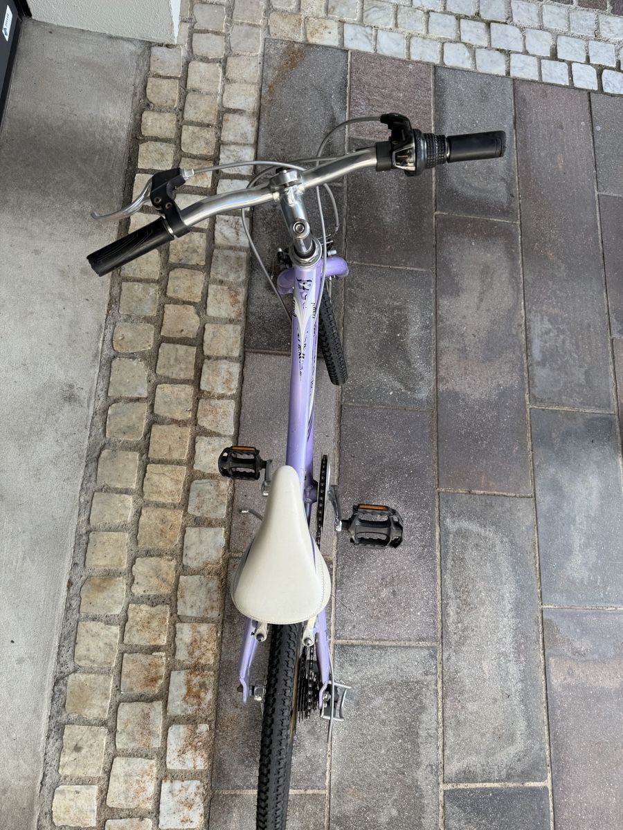 Giant Biciclette: Lilafarbenes Giant Kinderfahrrad – Usato da Bülach venduto da FrauLore 7
