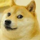 Profile image of DogeDog