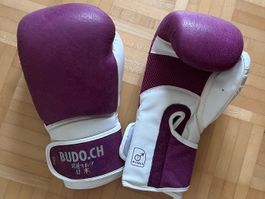 Budo Boxhandschuhe