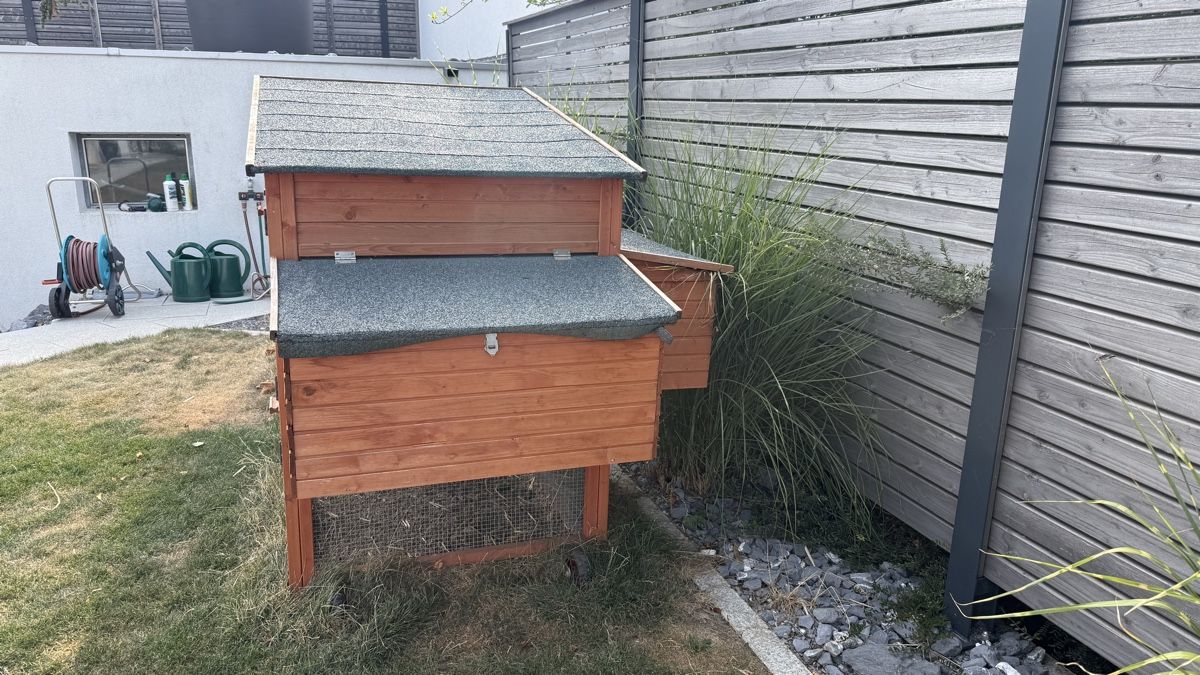 Gabbie, trasporto & Sicurezza: PetHomes Kaninchenstall – Usato da Bergdietikon venduto da SandroE 1