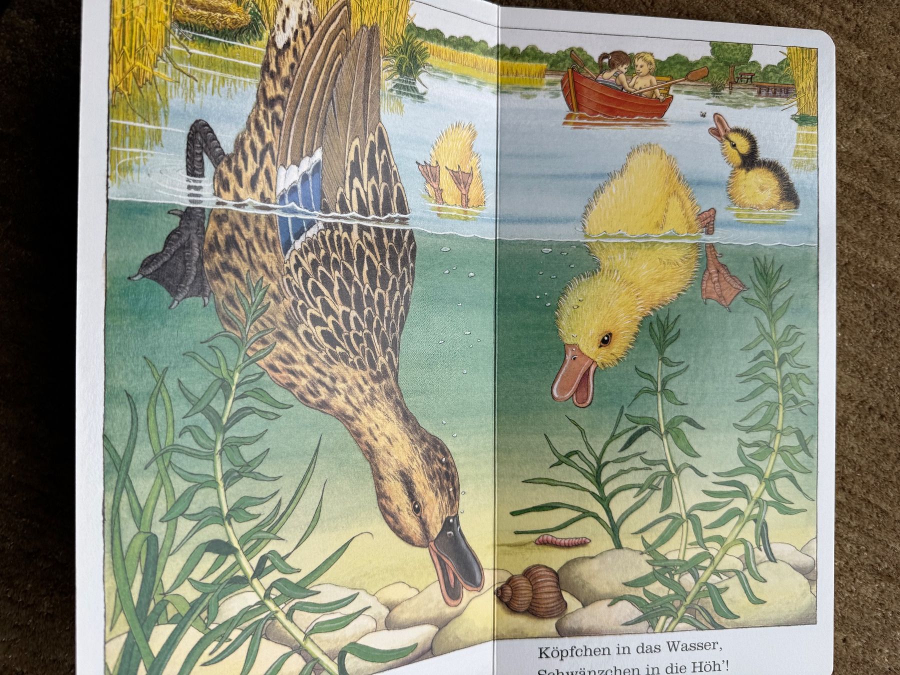 Libri: Ich bin die kleine Ente, Ravensburger – Nuovo (secondo la descrizione) da Aarau venduto da Kilauea 4