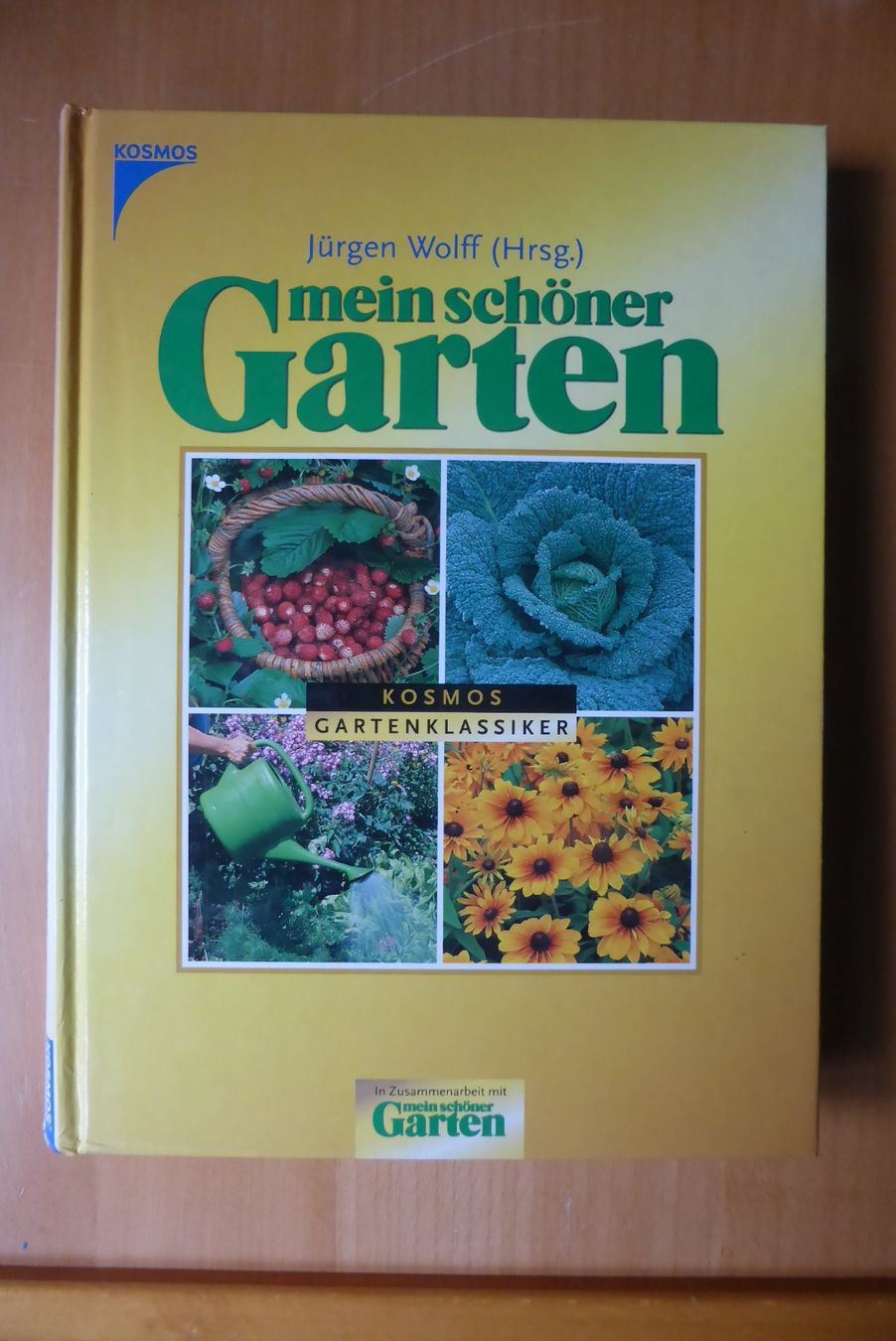 Libri: Mein schöner Garten – Usato da Brunnadern venduto da lesezirkel
