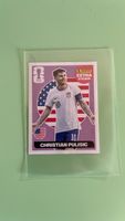 Carte Panini Christian Pulisic USA 10 "Extra Sticker"NEUF