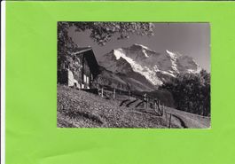 Wengen