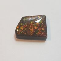 Ammolit 27 ct Edelstein Kanada Naturstein Fossil