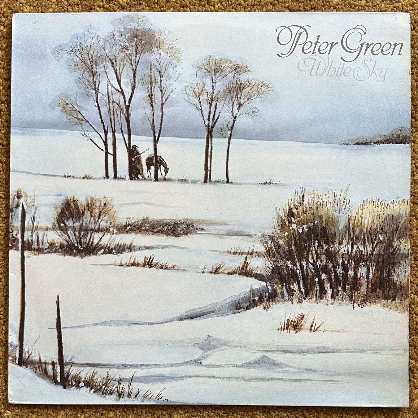 Dischi in vinile: LP - Peter Green – White Sky – Usato da Breganzona venduto da Onairda75