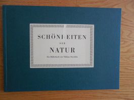Schönheiten der Natur / Niklaus Stöcklin