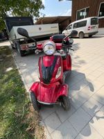 Senioren-Elektromobil  LUXXON E4800
