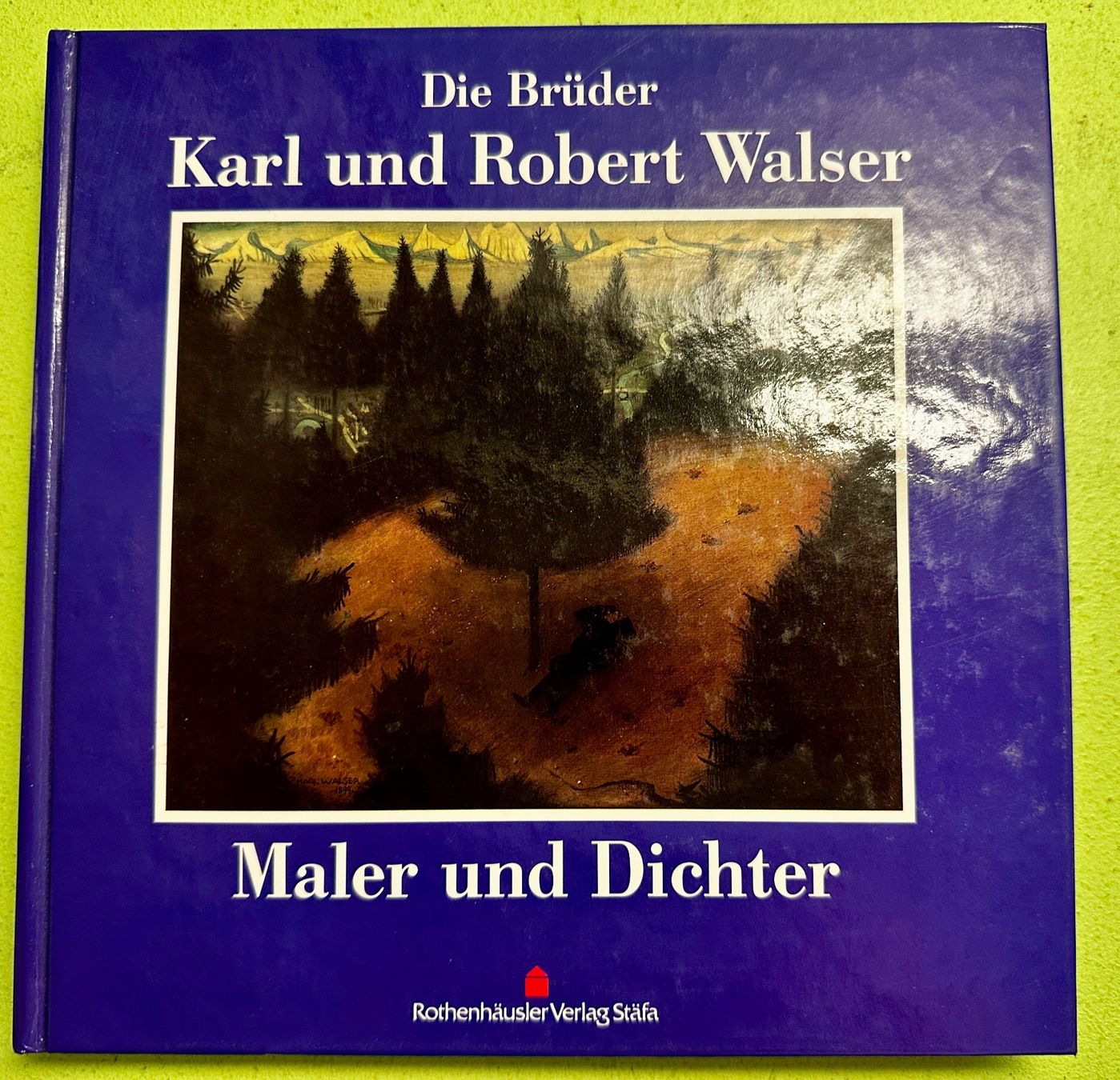 Libri: B. Echte, A. Meier: Die Brüder Karl und Robert Walser – Usato da Zürich venduto da allp