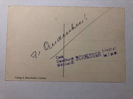 Alte Ansichtskarte Linthal mit Tödiblick Stempel