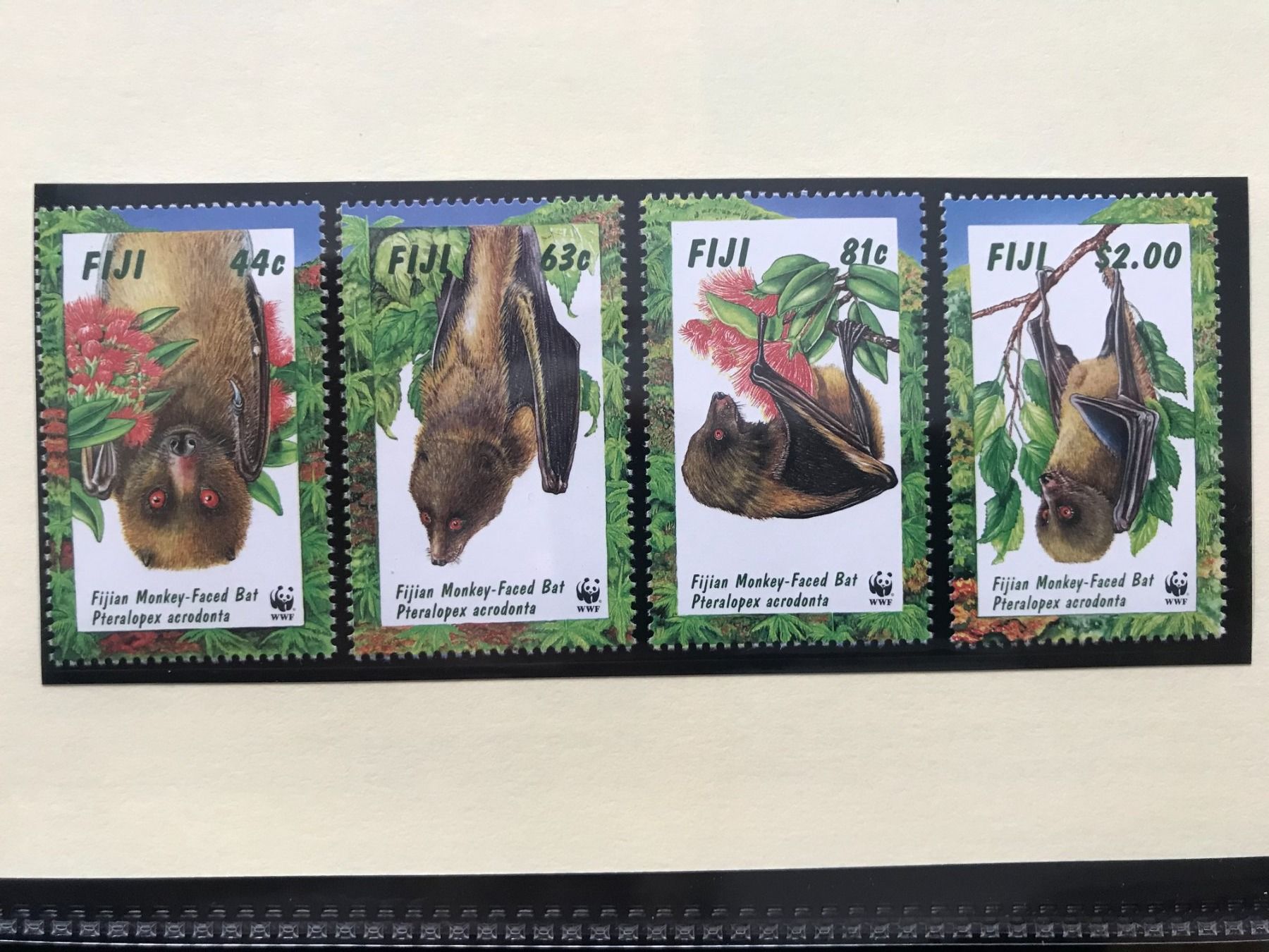 Tutti i francobolli: WWF Fidschi 1997 Affengesicht-Flughund Satz postfrisch – Nuovo (secondo la descrizione) da Liestal venduto da schnueps