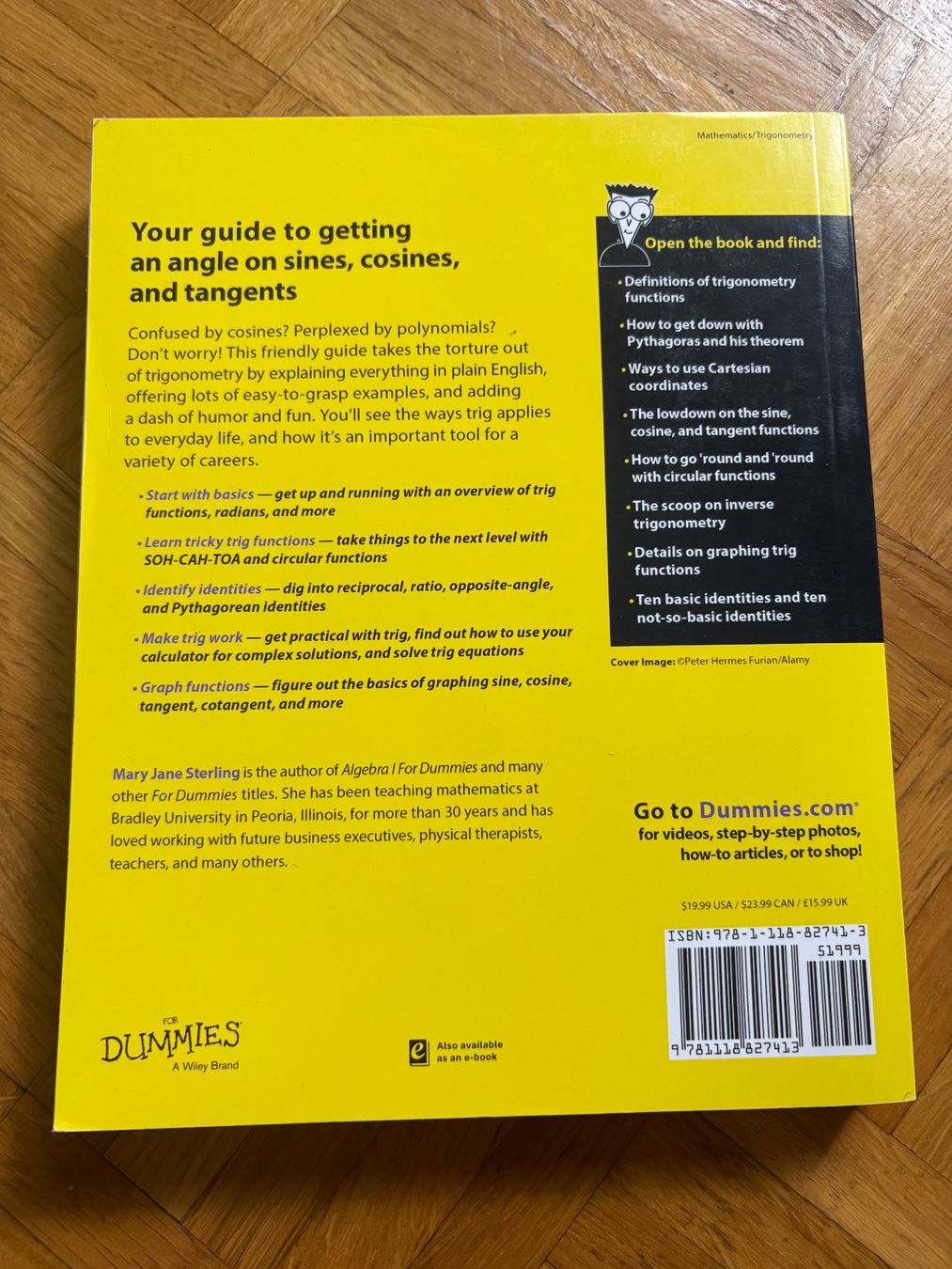 Libri: Trigonometry For Dummies, 2nd Edition (For Dummies Series) – Nuovo (secondo la descrizione) da Genève venduto da sunandwind 2